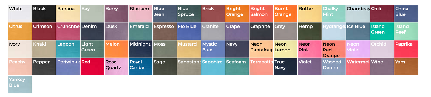 (P. 1717) Comfort Colors T-Shirt